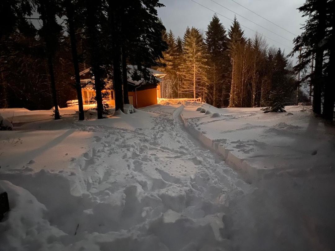 Chalet De Manu Sondernach Extérieur photo